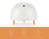 Bibo-Bamboo Fiber Base Portable Globe Cute Colorful Electric Ultrasonic Diffuser
