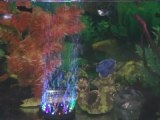 Aquarium Air Stone Bubbler Stone with LED Light