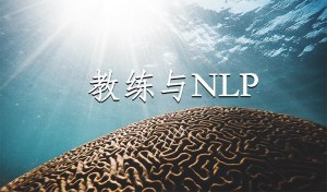 教练与NLP