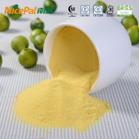 Fruit Powder Lime Powder for Beverage Wholesale Price