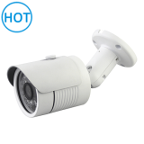 Security CCTV IR Waterproof IP66 IP Camera