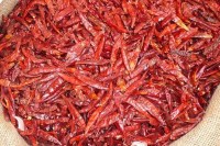 Piment Rouge Long Africain Séché de Qualité Supérieure en Gros