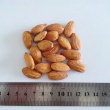 California Almond Nuts, Almond Nut