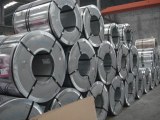 Supply stainless steel coil/sheet/plate/strip