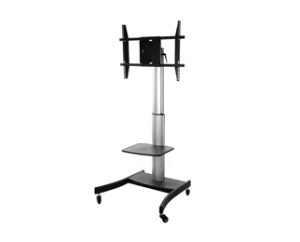 Mobile TV Stand