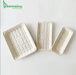 Wholesale Bagasse Food Trays