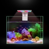 Aquarium LED Blue Light Freshwater Grow Light 5W Colorful