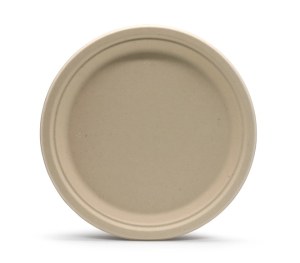 10 inch Bagasse Disposable Plate