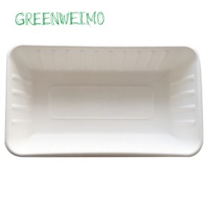 Biodegradable Sugarcane Bagasse Food Tray