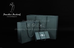 Shopping Paper Bag