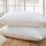 Hotel Pillow Wholesale