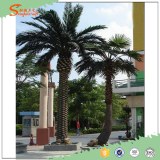 Artificial tissue culture date palm tree for home garden decoration