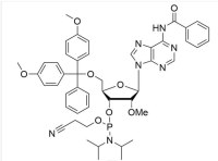 2'-OMe-rA(Bz) Phosphoramidite CAS NO. 110782-31-5 Wholesale