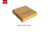 Bamboo Plywood