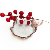 Cytidine 5'-Diphosphocholine