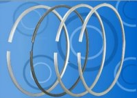 Ta Toong Wang produce various kinds of Piston Rings