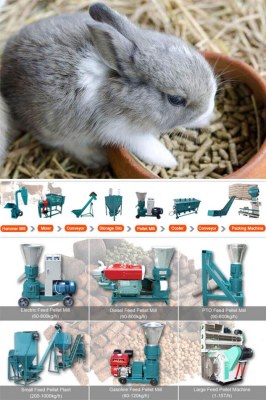 Feed Pellet Mill Machine Can Make Feed Pellets For Rabbit