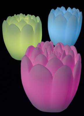 Lotus Colorful Light