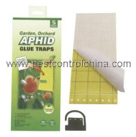 Aphid Glue Trap (CGGT61)