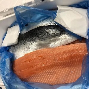 Salmon Fillets 1.5 -1.8kg (Salmo salar) | Atlantic Salmon Head-on, Gutted,