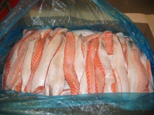 Salmon Fillets | Atlantic Salmon (Salmo salar)