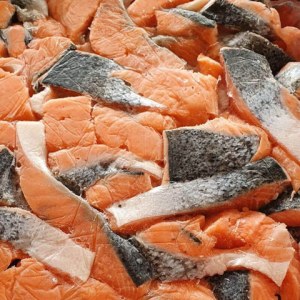 Frozen Salmon Bits & Pieces; Atlantic Salmon