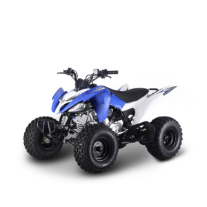 Electric ATV Quad Bike