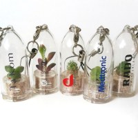 Babyplante - mini planta llavero personalizable