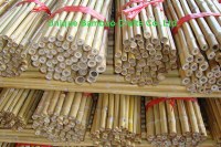 Straight and dry bamboo cane for plant supporting