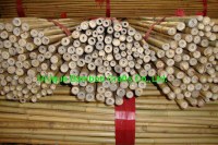 Fumigated dry bamboo canes for plant supporting