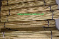 Fumigated bamboo canes for agricultural plant supporting