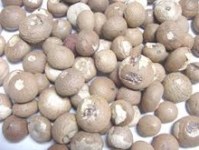 Best Quality whole and Split Betel Nuts