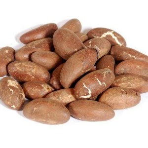 Ventes de kola amer et kolanuts