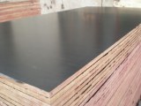 18mm Black film faced plywood for construction