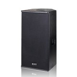 BT 12 Inch Multi-purpose Speaker