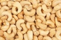 High quality cashew nut w240, w320, w450 factory, natural cashew nut in shell
