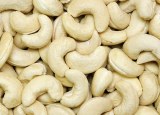 Cashew nuts