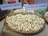 Cashew licenciado proveedor
