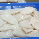 Frozen Seafood Cleaned Squid Tube