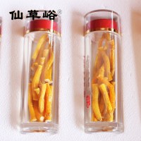 XIANCAOYU-Huoshan Dendrobium Inch-Gold