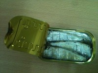 Conserves de sardines haute qualité