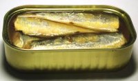 Stocks de conserve de sardine