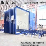 Automation customized folwers vegetables Vacuum cooling machine with double door