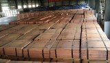 Cátodos de cobre (Cu) 99,99%, mínimo; 99,97% a la venta
