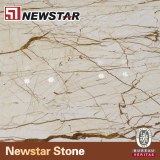 Newstar Marble Slab for Sale