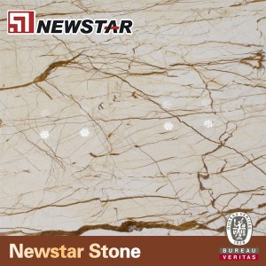 Newstar Marble Slab for Sale