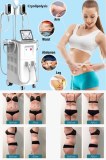 What areas of the body can be treated with cryolipolysis machine?
