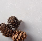 Encimeras Para Cocina de Cuarzo