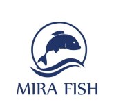 Exportador de marisco - Anchoas, sardinas, caballa, pulpo (Marruecos)