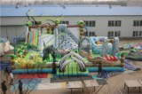 HI inflatable slide/inflatable slide for pool/inflatable double lane slip slide